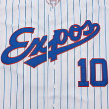 Andre Dawson Expos #10 Baseball Jersey