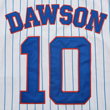 Andre Dawson Expos #10 Baseball Jersey