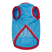 Custom Skyline Pet Basketball Jersey