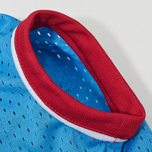 Custom Skyline Pet Basketball Jersey