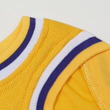 Custom Tune Squad Pet Basketball Jersey