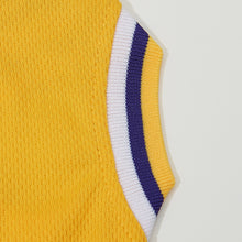 Custom Tune Squad Pet Basketball Jersey