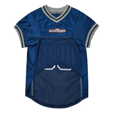 Custom Waterboy Pet Football Jersey