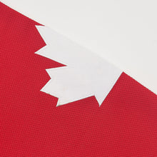 Custom Gretzky Labatt Team Coupe Canada Cup Ice 99 Hockey Jersey