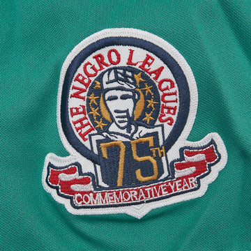 Seattle Mariners Griffey Baseball Jersey