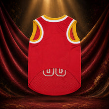MJ-AI-CANVA-FULL-EXPORT | Custom Fireball Pet Basketball Jersey | 03