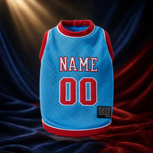 MJ-AI-CANVA-FULL-EXPORT | Custom Skyline Pet Basketball Jersey | 02