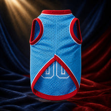 MJ-AI-CANVA-FULL-EXPORT | Custom Skyline Pet Basketball Jersey | 05