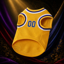 MJ-AI-CANVA-FULL-EXPORT | Custom Tune Squad Pet Basketball Jersey | 05
