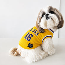 Custom L.A. Pup Pet Basketball Jersey