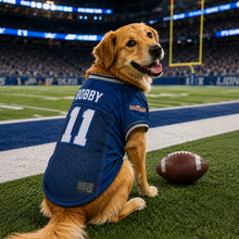 Custom Waterboy Pet Football Jersey