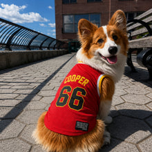 Custom Fireball Pet Basketball Jersey